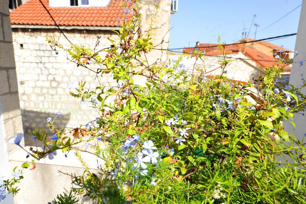Apartman Branka Split Exterior photo